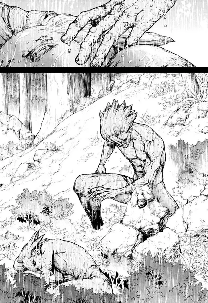 Dr. Stone Chapter 157 13